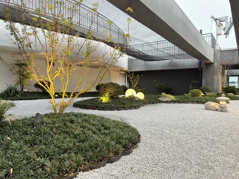 屋顶花园——城市中的私属绿洲